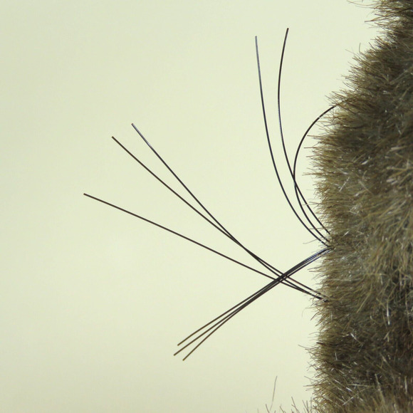 Rare Vintage 9" Anne Geddes Baby Squirrel Doll Limited Edition 1998 Collectible - Picture 7 of 16